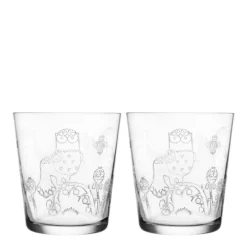 Iittala Taika Glas 38 Cl 2-pack Klar