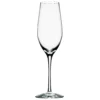 Orrefors Merlot Champagneglas 33 Cl